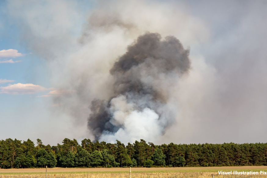 Incendie aux portes de la forêt de Tronçais : plus de 15 hectares déjà partis en fumée